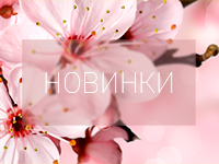 Новинки: Комплекты постельного белья из Сатина.