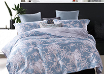 КПБ Tencel евро 4 наволочки - TT6-82 код1330