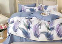 Twill евро 2 наволочки в ПВХ - TPIG3-2040 КОД1171