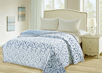 Плед микрофибра Tango Bicolor Евро - 3008-34