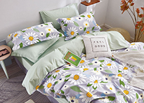 Twill евро 4 наволочки - TPIG6-1205 КОД1038