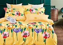 Twill евро 2 наволочки в ПВХ - TPIG3-1692 КОД1171