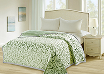 Плед микрофибра Tango Bicolor Евро - 3008-35