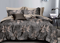 КПБ Dream Fly 2 спальный - DF02-459-70 код1179